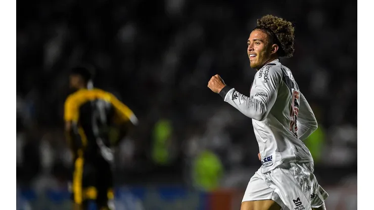 Agif/Thiago Ribeiro - Vasco está perto de retornar à Série A