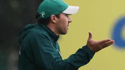 Foto: Cesar Greco - Sociedade Esportiva Palmeiras