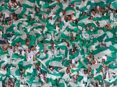 Com ingressos mais caros, Palmeiras lidera ranking e está entre as maiores taxas de ocupação de estádios no Brasil; Veja lista