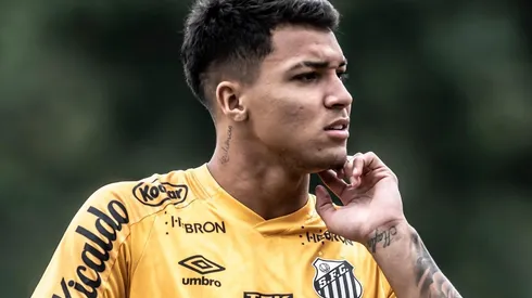 Foto: Ivan Storti/Santos FC