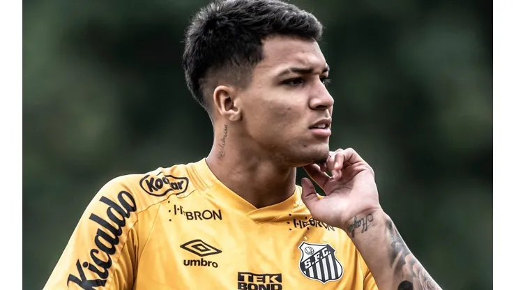 Foto: Ivan Storti/Santos FC