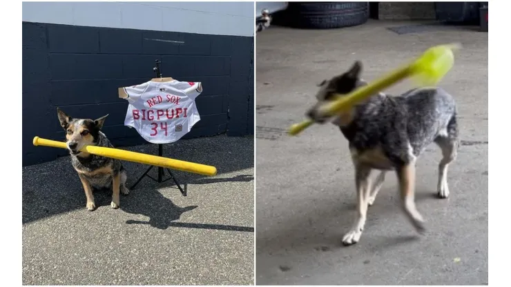 Pepper vem se destacando por seu talento no beisebol