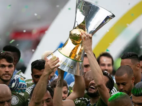 Palmeiras já é campeão para Betfair e pix 'cai na conta' de quem apostou no Verdão com antecedência