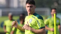 Foto: César Greco/ Palmeiras