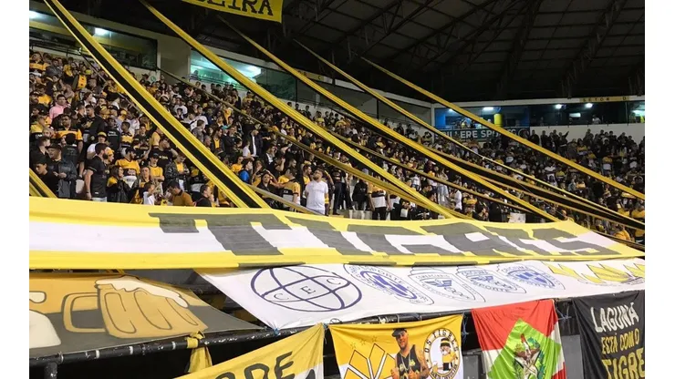 Foto: Celso da Luz / Criciúma E.C - Torcida se denomina como a “única Barra” do estado.