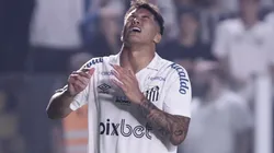 Ettore Chiereguini/AGIF - Marcos Leonardo, atacante do Peixe.