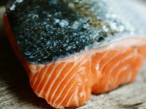 Comer peixes de água fria ajuda na prevenção do Alzheimer