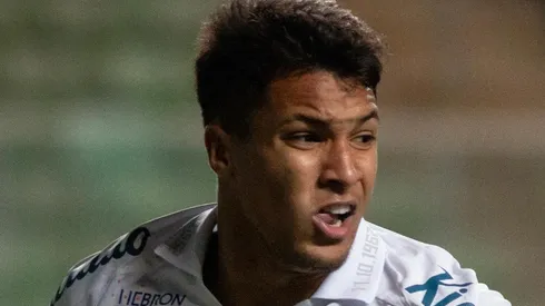 Foto: Fernando Moreno/AGIF – Marcos Leonardo é poupado e dupla é criticada