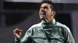 Foto: Cesar Greco/SEP - Abel 'pistolou' após o triunfo do Verdão.