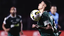 Caetano pode retornar ao Corinthians (Foto: Ettore Chiereguini/AGIF)