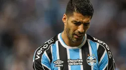 Foto: Pedro H. Tesch/AGIF - O Grêmio quer um novo reserva para o uruguaio Suárez