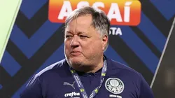 Foto: Flickr oficial Palmeiras