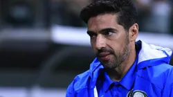 Foto: Ettore Chiereguini/AGIF - Abel Ferreira: técnico não vem utilizando o jogador com frequência