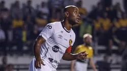 Foto: Rafael Bandeira / Sport Recife