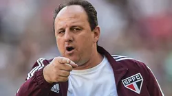 Ceni pode ter campeão da Libertadores com o Palmeiras - Foto: Thiago Ribeiro/AGIF