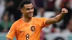 Foto: Matthias Hangst/Getty Images - Gakpo marcou o primeiro gol dos Países Baixos contra o Qatar