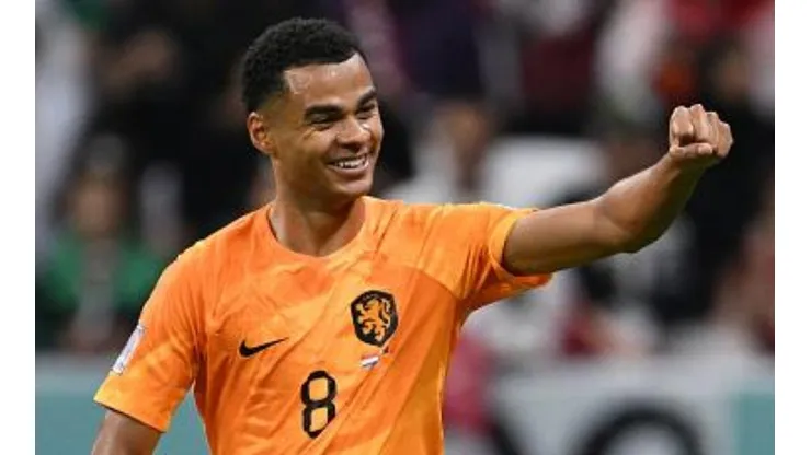 Foto: Matthias Hangst/Getty Images - Gakpo marcou o primeiro gol dos Países Baixos contra o Qatar