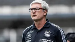 Foto: Abner Dourado/AGIF - Odair Hellmann tem desfalques para o confronto decisivo do Santos