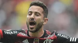 - Everton Ribeiro