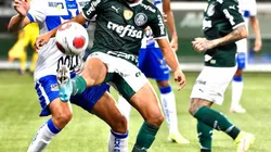 (Foto: Alexandre Battibugli/Ag. Paulistão - Flickr Palmeiras)