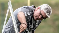 Foto: Flickr Oficial Santos FC/Ivan Storti - Odair Hellmann