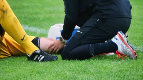 Foto: Imagem de Alexander Fox | PlaNet Fox por Pixabay