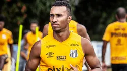 Foto: Ivan Storti/ Santos