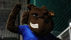 Gilson Junio/AGIF - Raposão, o mascote do Cruzeiro.