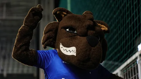 Gilson Junio/AGIF - Raposão, o mascote do Cruzeiro.