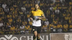 Foto: Celso da Luz/Assessoria de imprensa C.E.C.