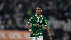 RJ - RIO DE JANEIRO - 17/07/2024 - BRASILEIRO A 2024, BOTAFOGO X PALMEIRAS - Estevao jogador do Palmeiras durante partida contra o Botafogo no estadio Engenhao pelo campeonato Brasileiro A 2024. Foto: Thiago Ribeiro/AGIF