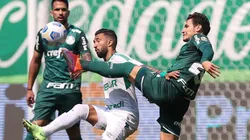 Palmeiras x Cuiabá; prognósticos do jogo que fecha a 17ª rodada (Foto: Cesar Greco/Palmeiras)