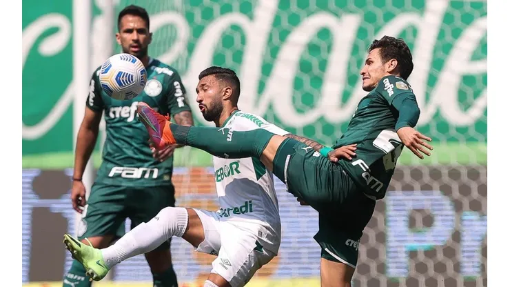 Palmeiras x Cuiabá; prognósticos do jogo que fecha a 17ª rodada (Foto: Cesar Greco/Palmeiras)