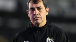 Fábio Carille durante partida entre Santos e Chapecoense, na Vila Belmiro, pela Série B do Campeonato Brasileiro, no dia 01/07/2024.