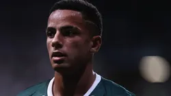 - Giovani