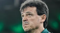 Foto: Thiago Ribeiro/AGIF - Fernando Diniz