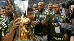 (Foto: Flickr Oficial Palmeiras)