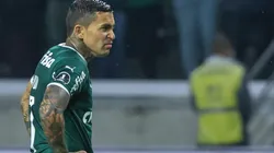 Marcello Zambrana/AGIF/ Libertadores: Rivais enchem a internet de memes após eliminação do Palmeiras para o Athletico-PR.