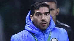 Abel Ferreira no comando do Palmeiras (Foto: Ettore Chiereguini/AGIF)