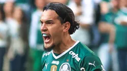 - Gómez
