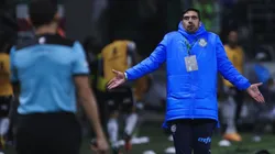 Ettore Chiereguini/AGIF - Abel no Palmeiras.