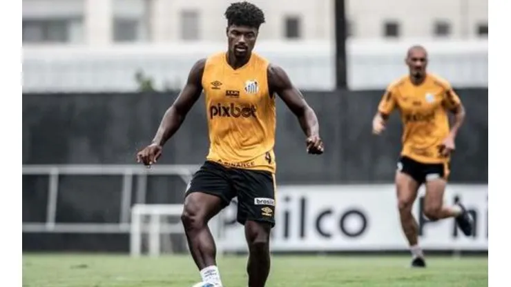 Foto: Ivan Storti/Santos