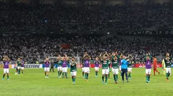 Palmeiras x Goiás; prognósticos do jogo da 21ª rodada do Brasileirão (Foto: Cesar Greco/Palmeiras)