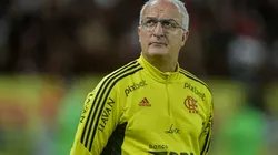Agif/Thiago Ribeiro - Dorival Júnior ganha mais opções no Flamengo