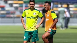 Foto: César Greco/ Palmeiras