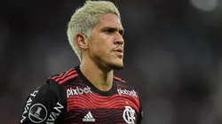Foto: Thiago Ribeiro/AGIF | Pedro não chegou a ouvir proposta do Palmeiras em respeito ao Flamengo