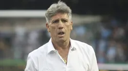 Renato Portaluppi, técnico do Grêmio, durante partida contra o Internacional no estádio Couto Pereira pelo Brasileirão Série A 2024. Foto: Gabriel Machado/AGIF