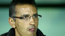 Péricles Chamusca pediu a contratação de jogador do Palmeiras (Foto: Luis Gustavo/AGIF)