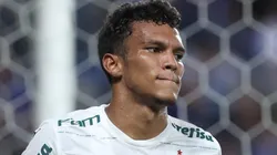 Foto: Cesar Greco/SEP - Veron foi multado pelo Palmeiras.