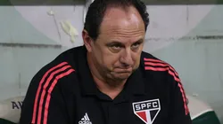 Foto: Marcello Zambrana/AGIF - Ceni: técnico está no aguardo de reforços no São Paulo